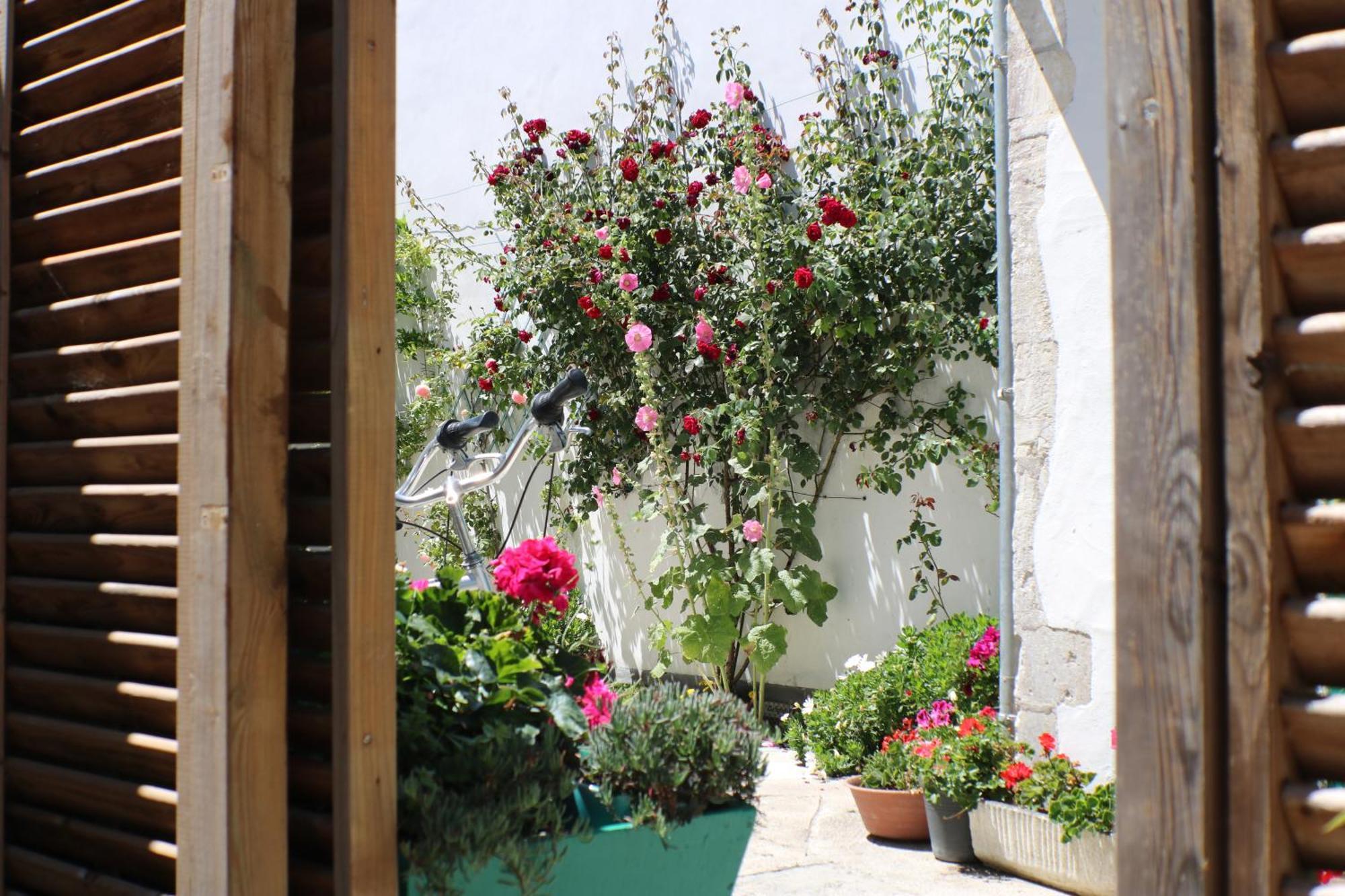 Beau T3 *** pour 2 à 4 pers avec patio privatif La Couarde-sur-Mer Exterior foto